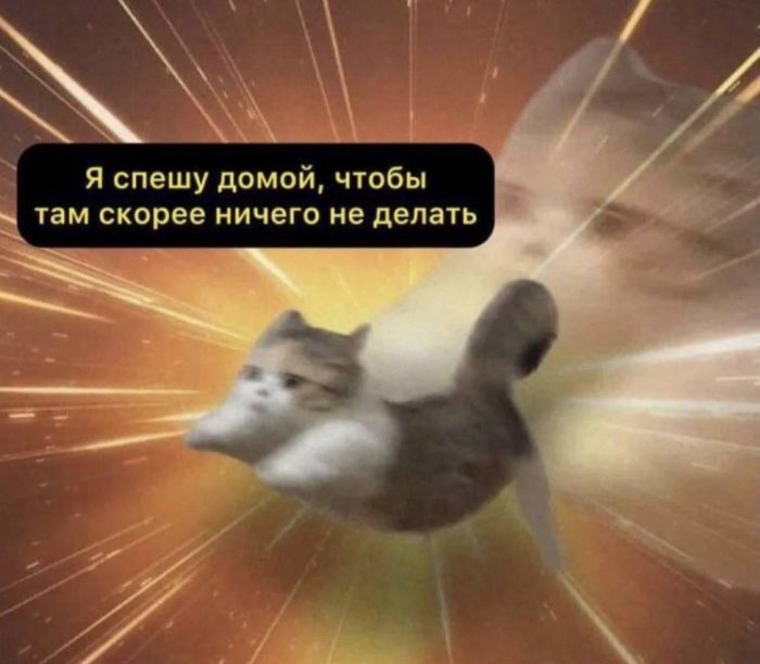 ���������! �������� �������� �� ���� (35 ����)