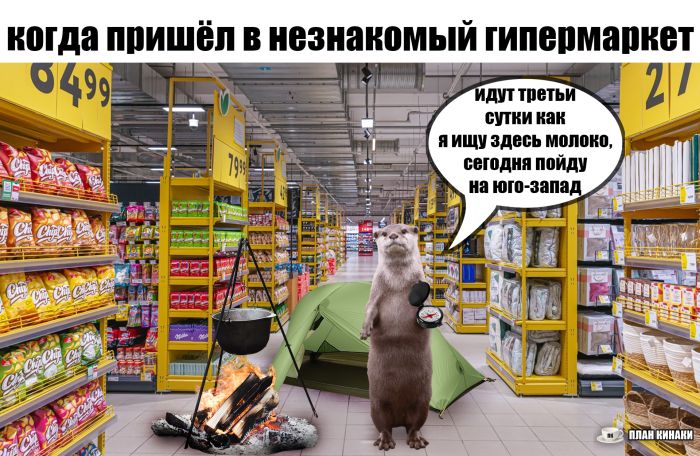 ���������! �������� �������� �� ���� (35 ����)