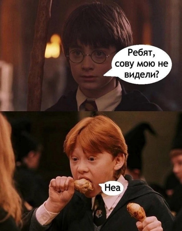 ���������! �������� �������� �� ���� (35 ����)