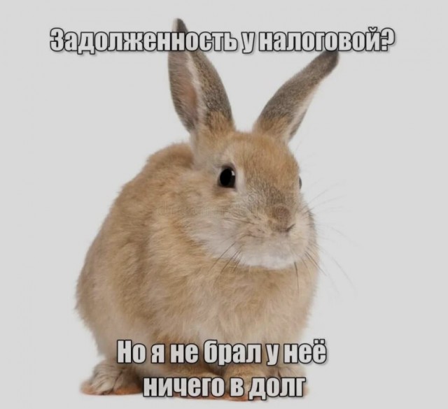 ���������! �������� �������� �� ���� (35 ����)