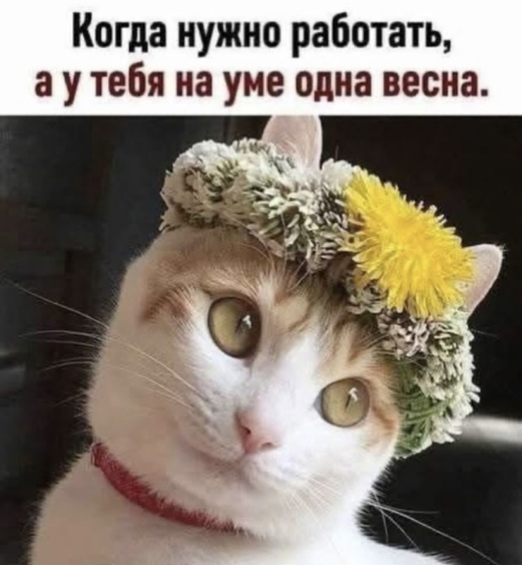 ���������! �������� �������� �� ���� (35 ����)