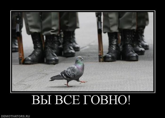 ������������ ������������ (20 ����)