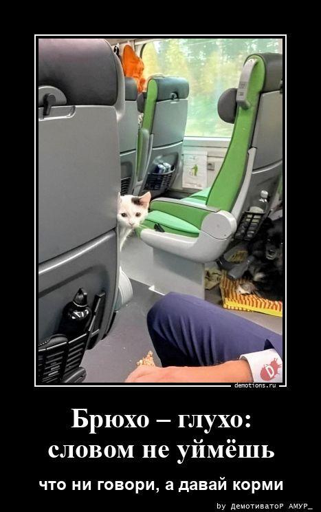 ������������ ������������ (20 ����)