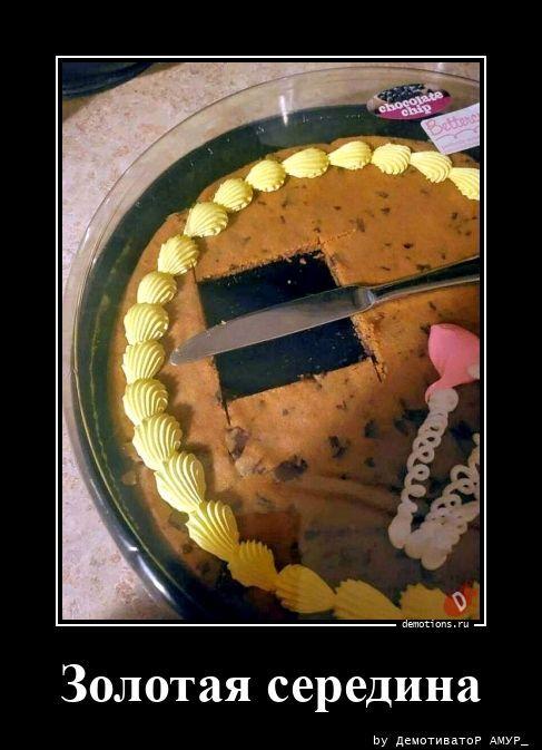 ������������ ������������ (20 ����)