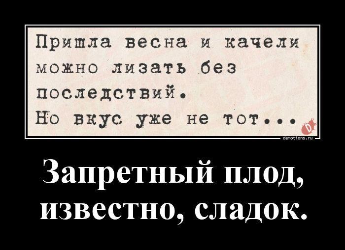 ������������ ������������ (20 ����)