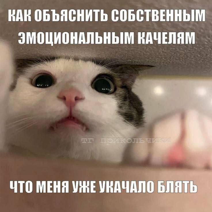 ���� � ������� �� ���� (32 ����)