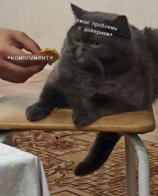 ���� � ������� �� ���� (32 ����)