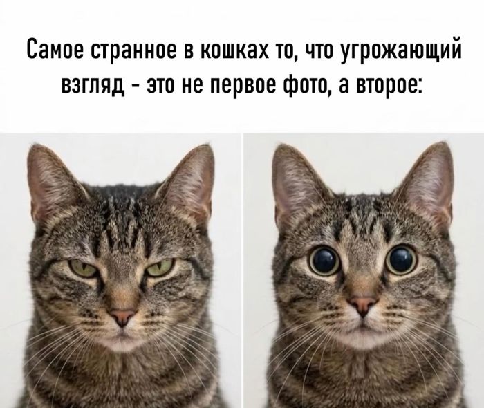 ���� � ������� �� ���� (32 ����)