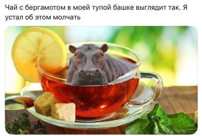 ��������! ������ ���� � ������� ��� ���������� (35 ����)