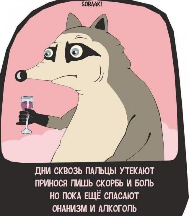 ��������! ������ ���� � ������� ��� ���������� (35 ����)