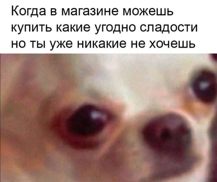 ��������! ������ ���� � ������� ��� ���������� (35 ����)