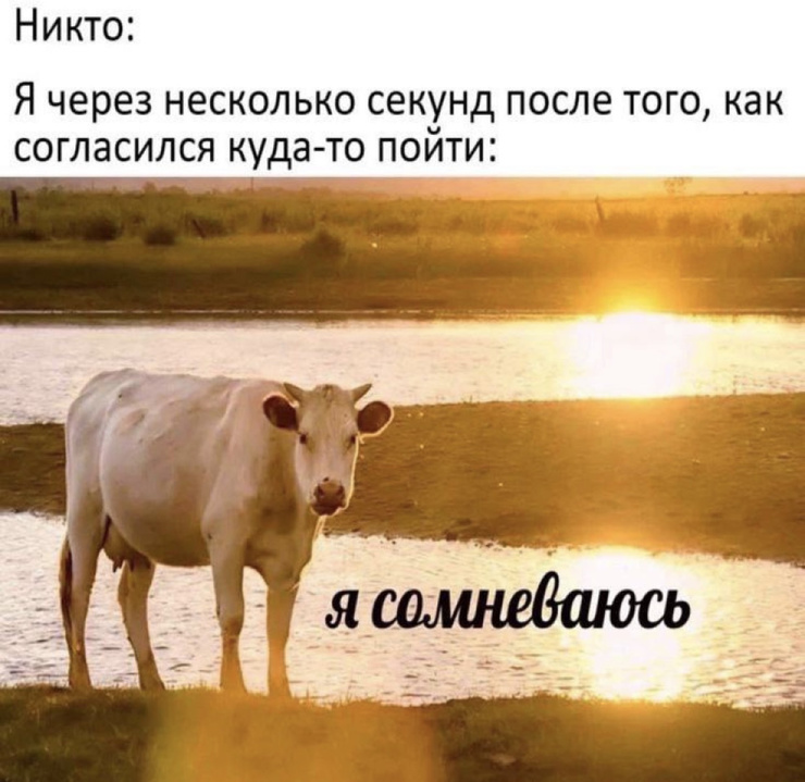 ��������! ������ ���� � ������� ��� ���������� (35 ����)