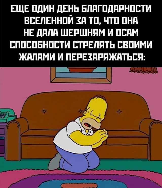 ��������! ������ ���� � ������� ��� ���������� (35 ����)