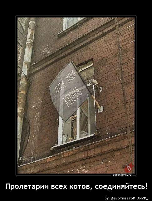 ������������ �������� (16 ����)