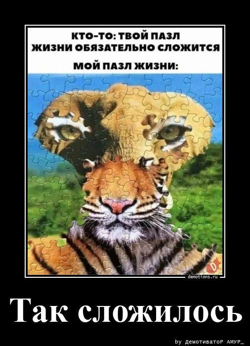 ������������ �������� (16 ����)