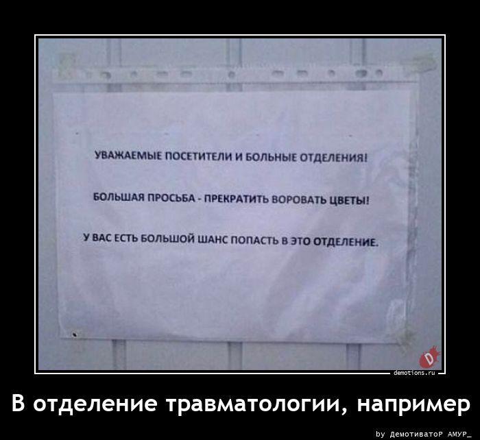 ������������ �������� (16 ����)