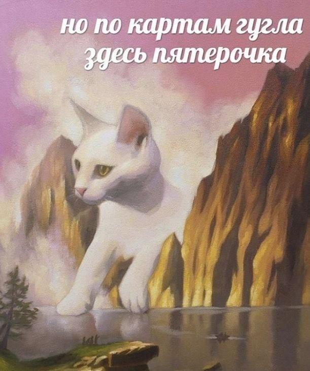 ������� ������ ����� � �������� (36 ����)