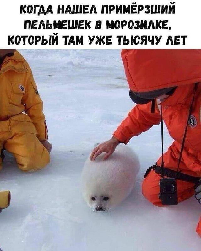 ������� ������ ����� � �������� (36 ����)