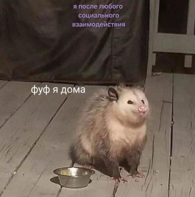 ������� ������ ����� � �������� (36 ����)