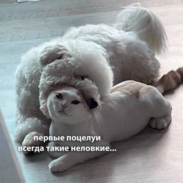 ������� ������ ����� � �������� (36 ����)