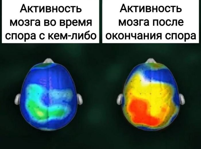 ������� ������ ����� � �������� (36 ����)