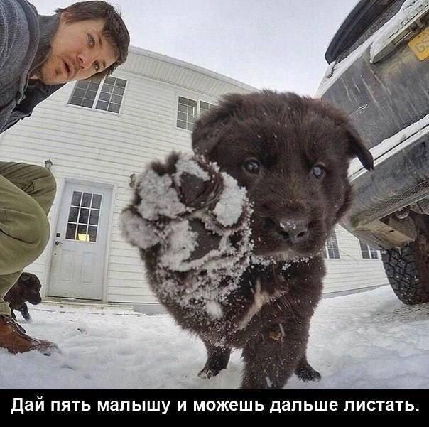 ������� ������ ����� � �������� (36 ����)