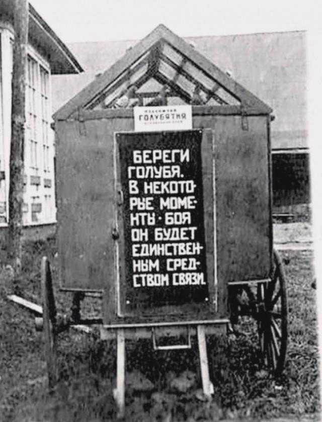 ������� ������ ����� � �������� (36 ����)