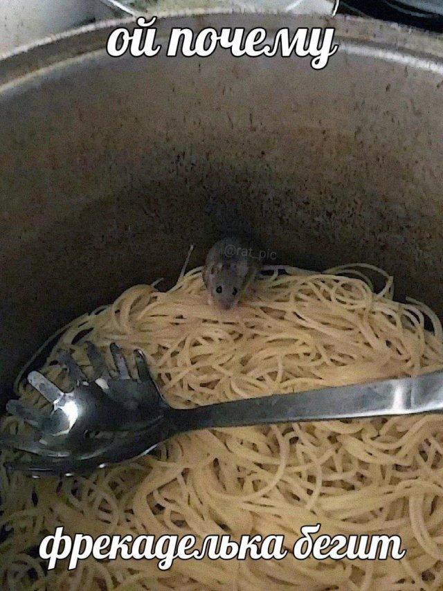 ������� ������ ����� � �������� (36 ����)