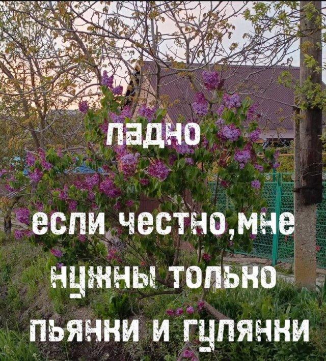 ������� ������ ����� � �������� (36 ����)