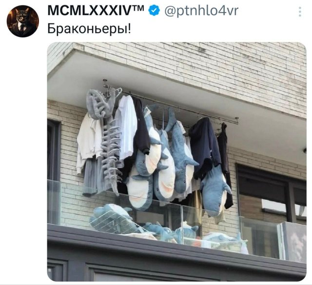 ������� ������ ����� � �������� (36 ����)