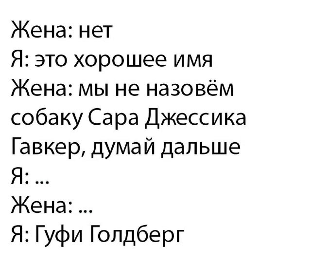 ������� ������ ����� � �������� (36 ����)