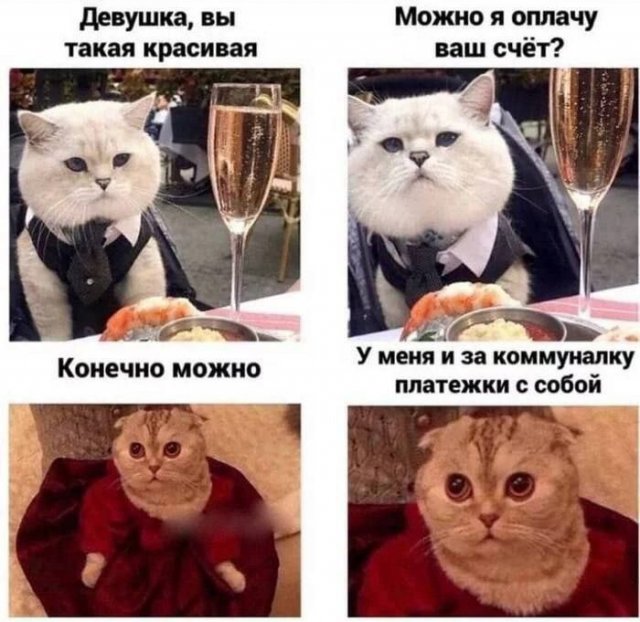 ������� ������ ����� � �������� (36 ����)