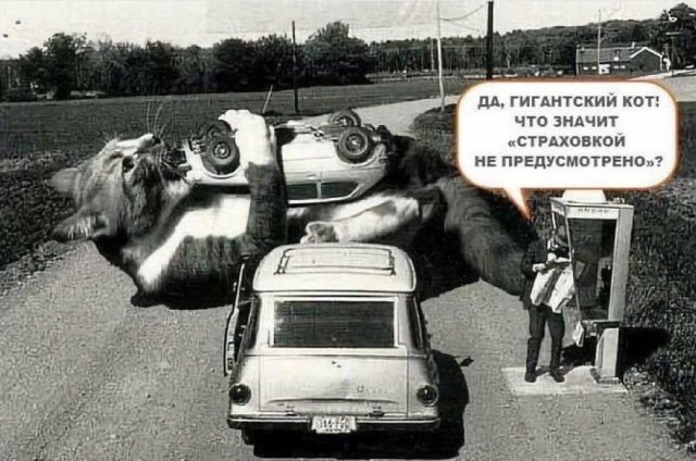 ������� ������ ����� � �������� (36 ����)