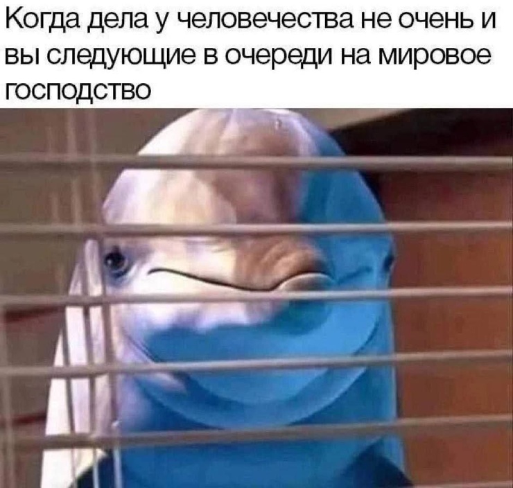 ���������! ������ ������� ��� ��������� ���������� (30 ����)