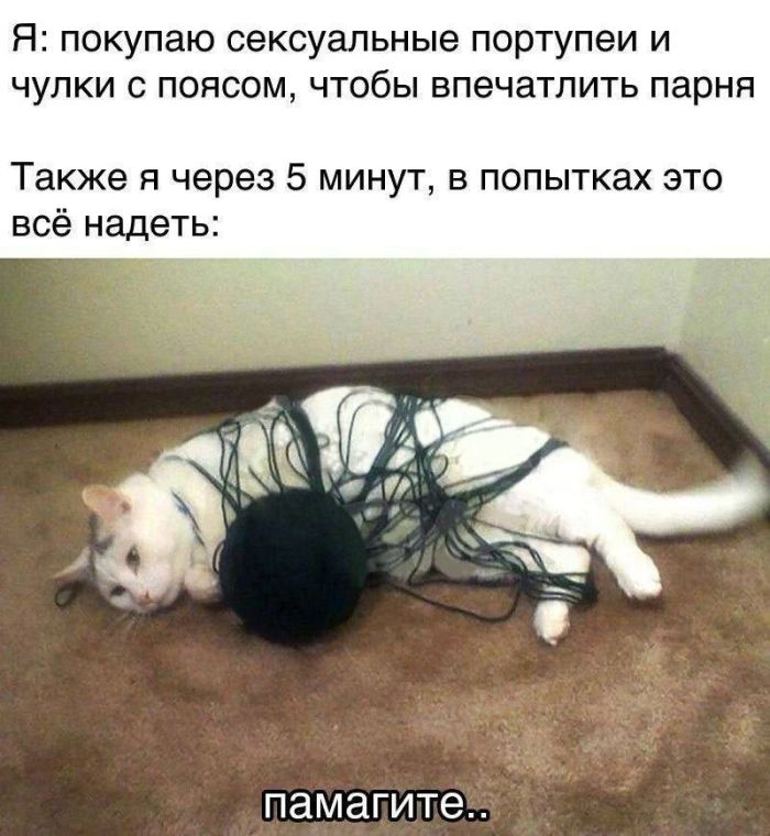 ���������! ������ ������� ��� ��������� ���������� (30 ����)