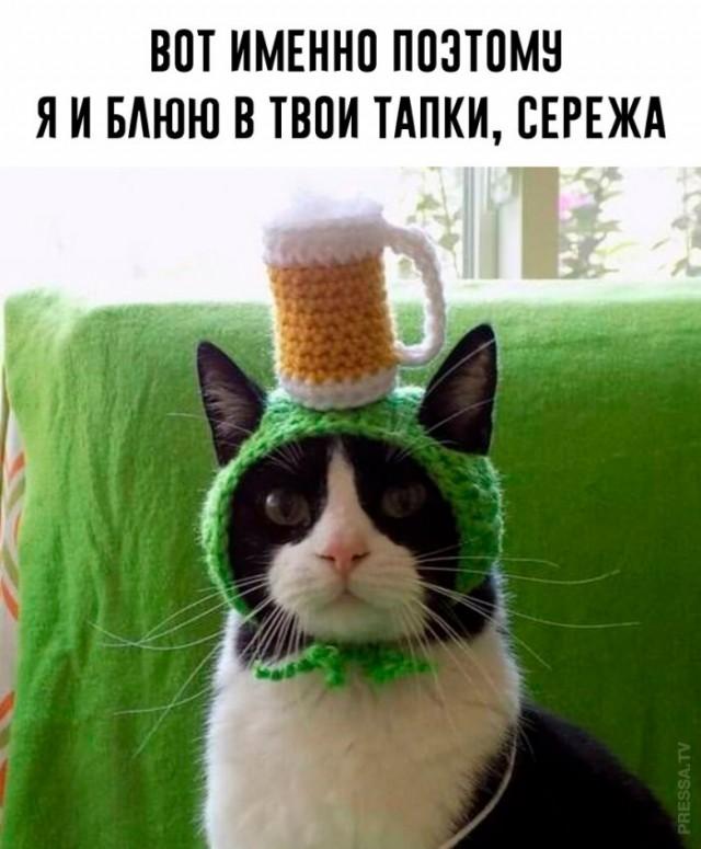 ���������! ������ ������� ��� ��������� ���������� (30 ����)