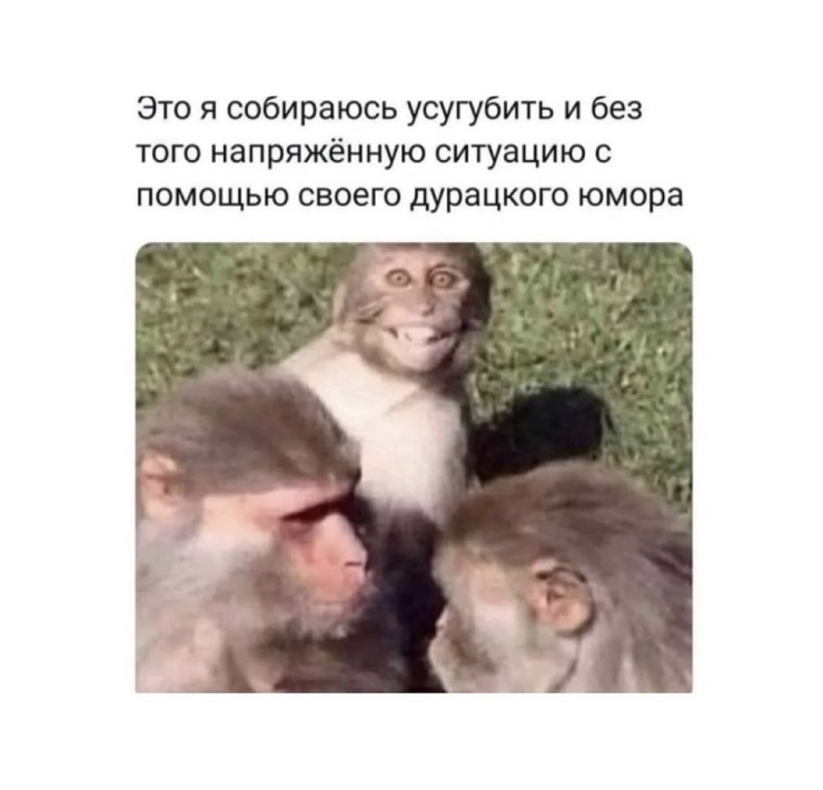 �������� ������� ����� � �������� (30 ����)