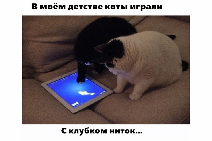 �������� ������� ����� � �������� (30 ����)