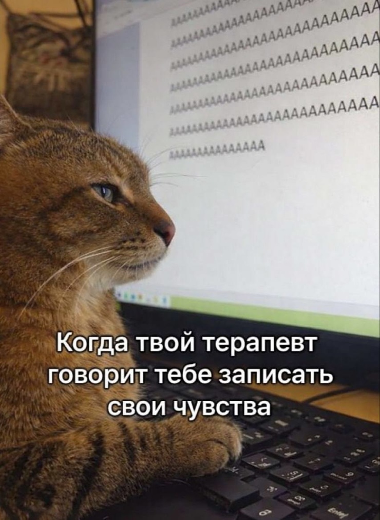 �������� ������� ����� � �������� (30 ����)