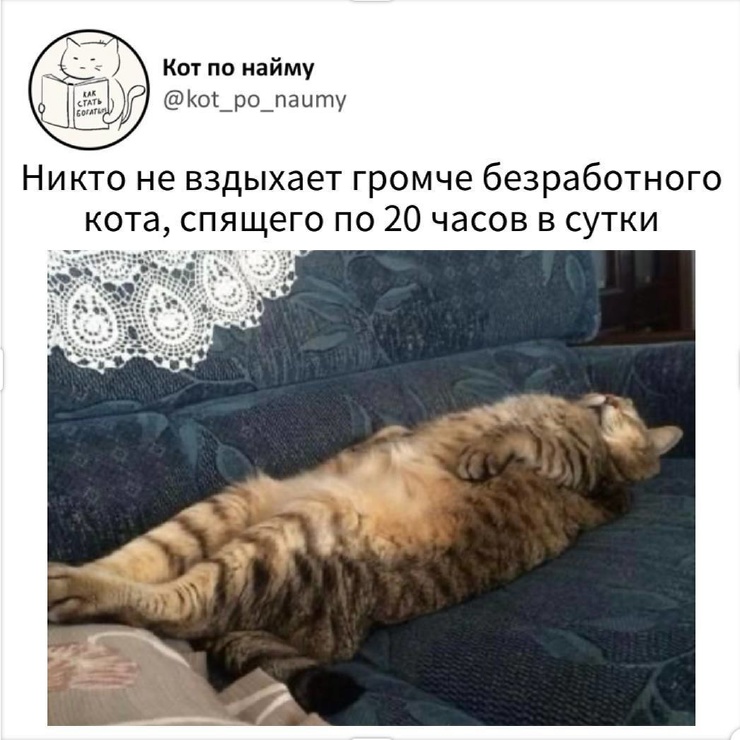 �������� ������� ����� � �������� (30 ����)