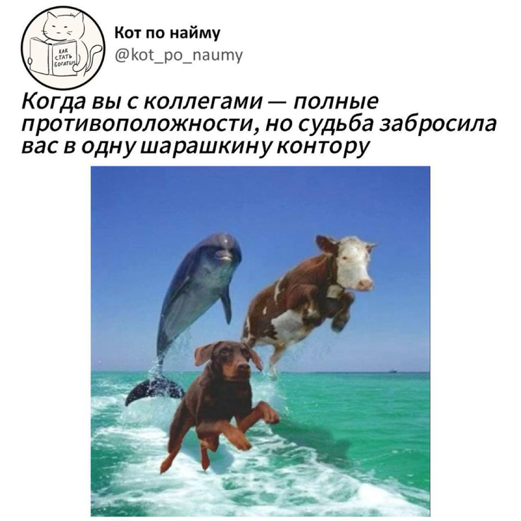 �������� ������� ����� � �������� (30 ����)