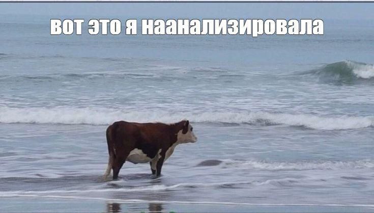 �������� ������� ����� � �������� (30 ����)