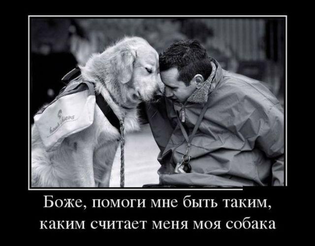 ������������ �������� (22 ����)