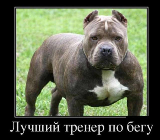 ������������ �������� (22 ����)