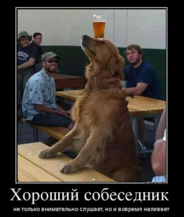 ������������ �������� (22 ����)