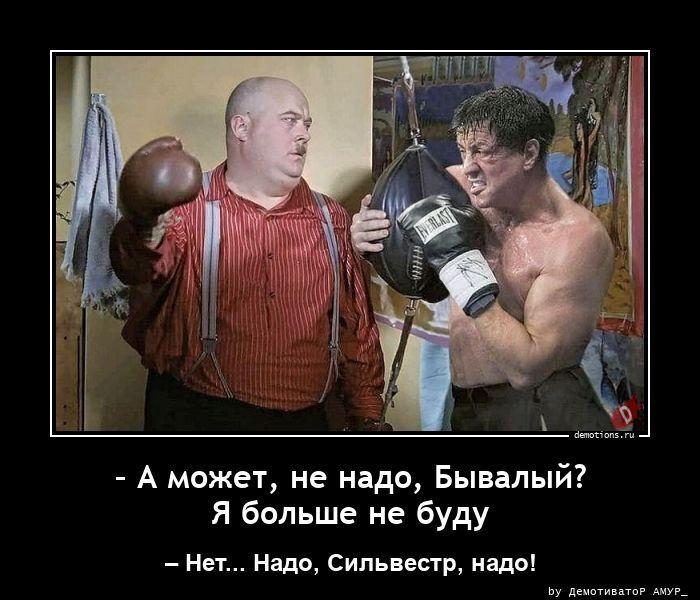 ������������ �������� (22 ����)