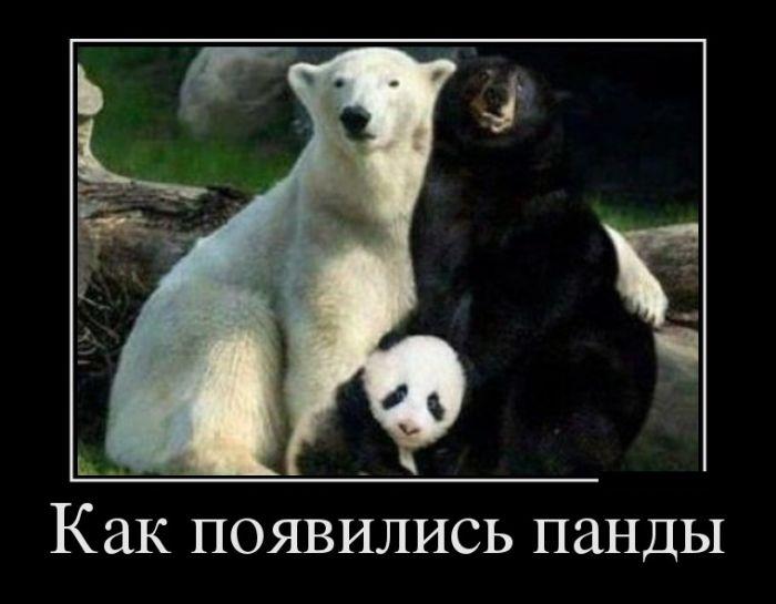 ������������ �������� (22 ����)