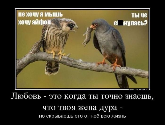 ������������ �������� (22 ����)