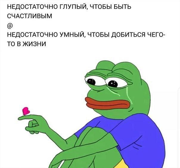 ���������! �������� ����� �� ���� (25 ����)