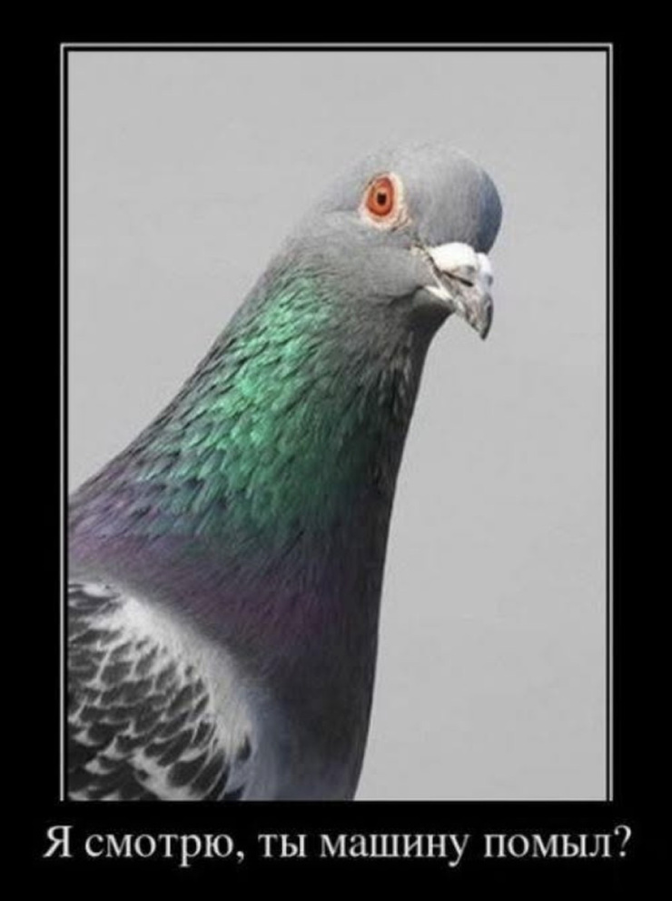 ������� ������� �������� � ����� (30 ����)